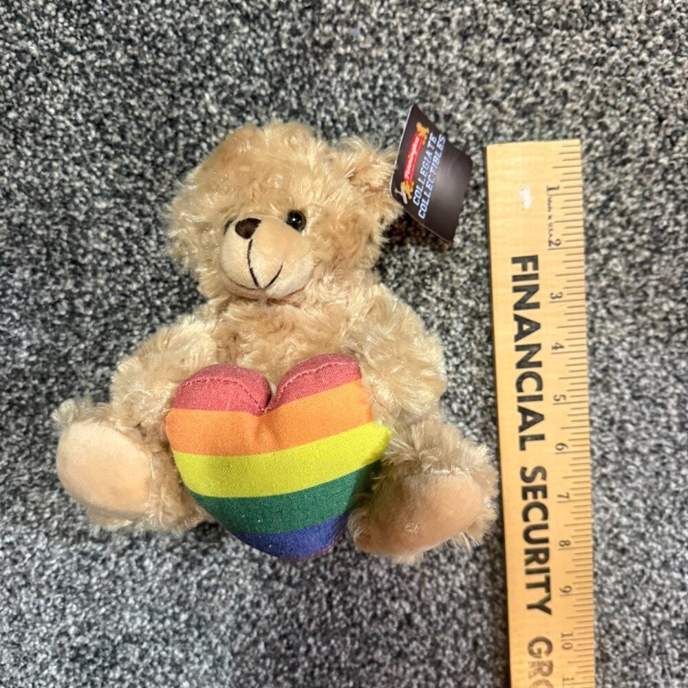 🌈 Pennington Collegiate Collectible Bear with rainbow heart 🌈 - Picture 2 of 5